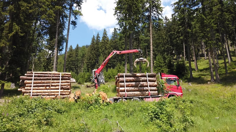 M100Z Z LINE EPSILON TIMBER CRANE