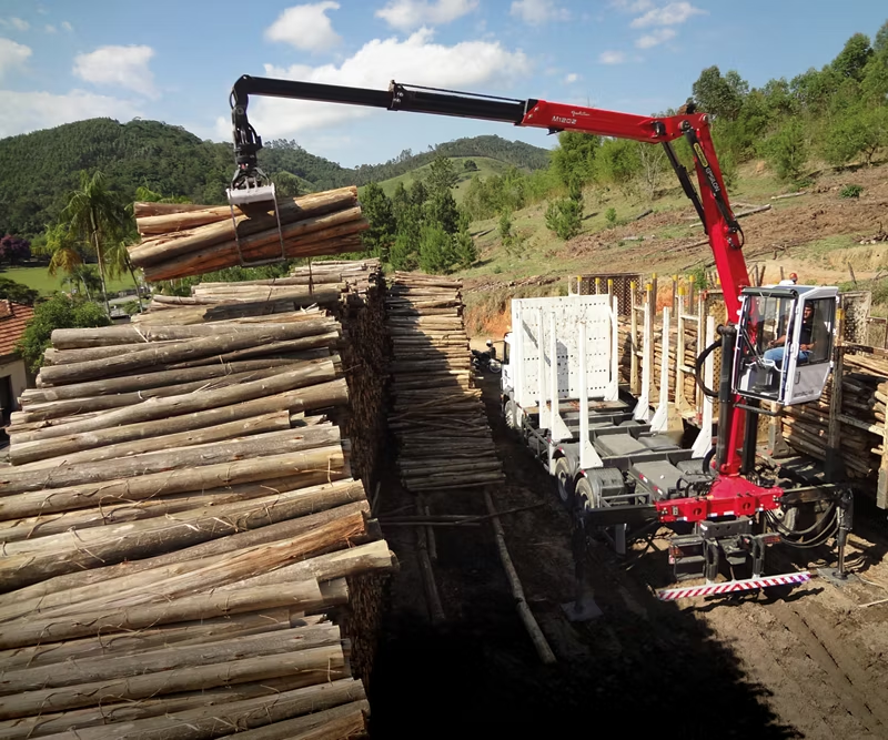 M120Z Z LINE EPSILON TIMBER CRANE