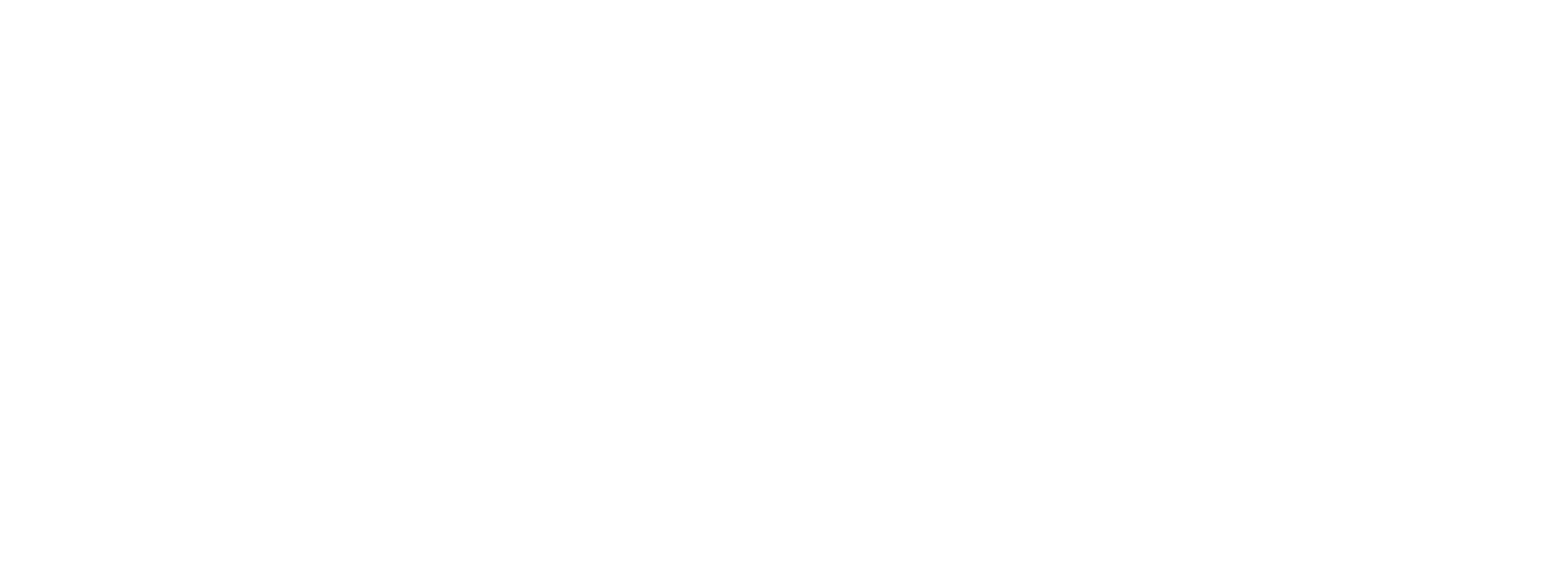 Palfinger White