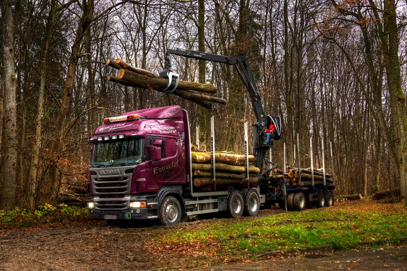 Q150Z Z LINE EPSILON TIMBER