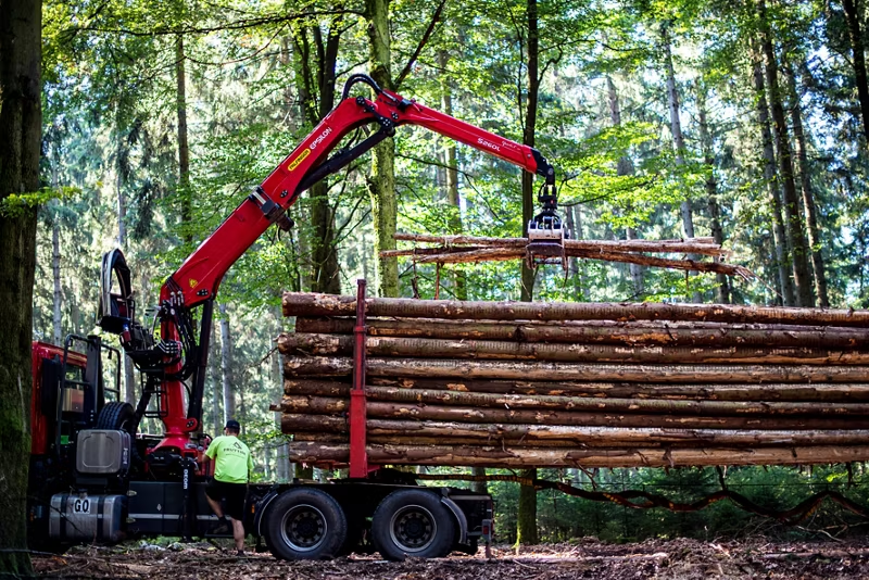 S260L L LINE EPSILON TIMBER CRANE